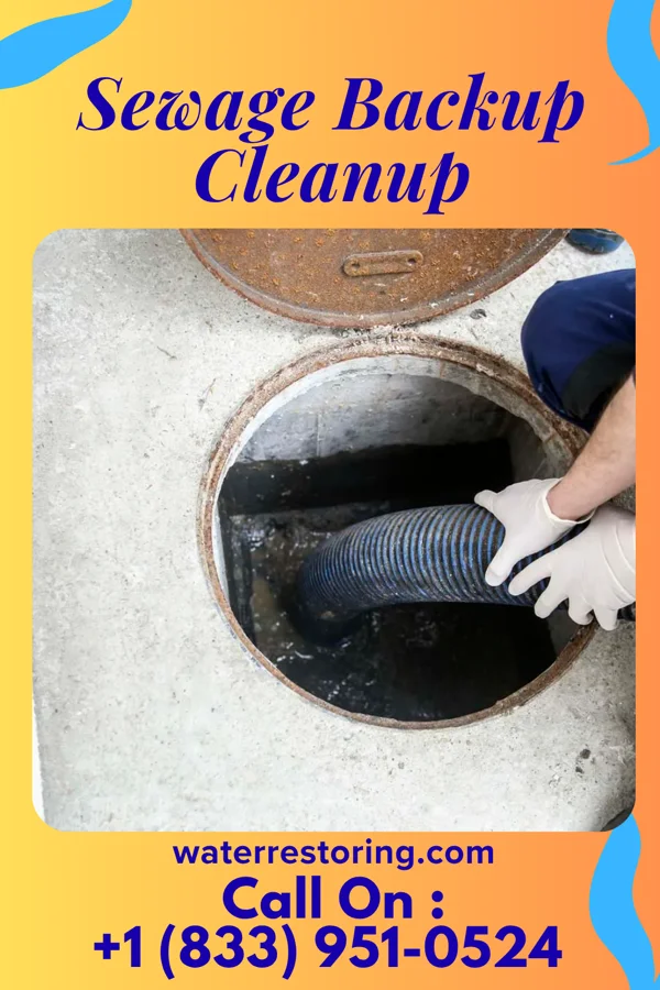 Sewage Backup Cleanup in Tushka, OK